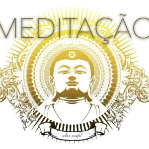o caminho da consciencia mindful 10 semanas