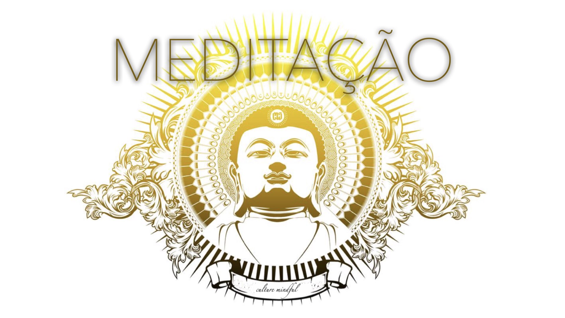 o caminho da consciencia mindful 10 semanas